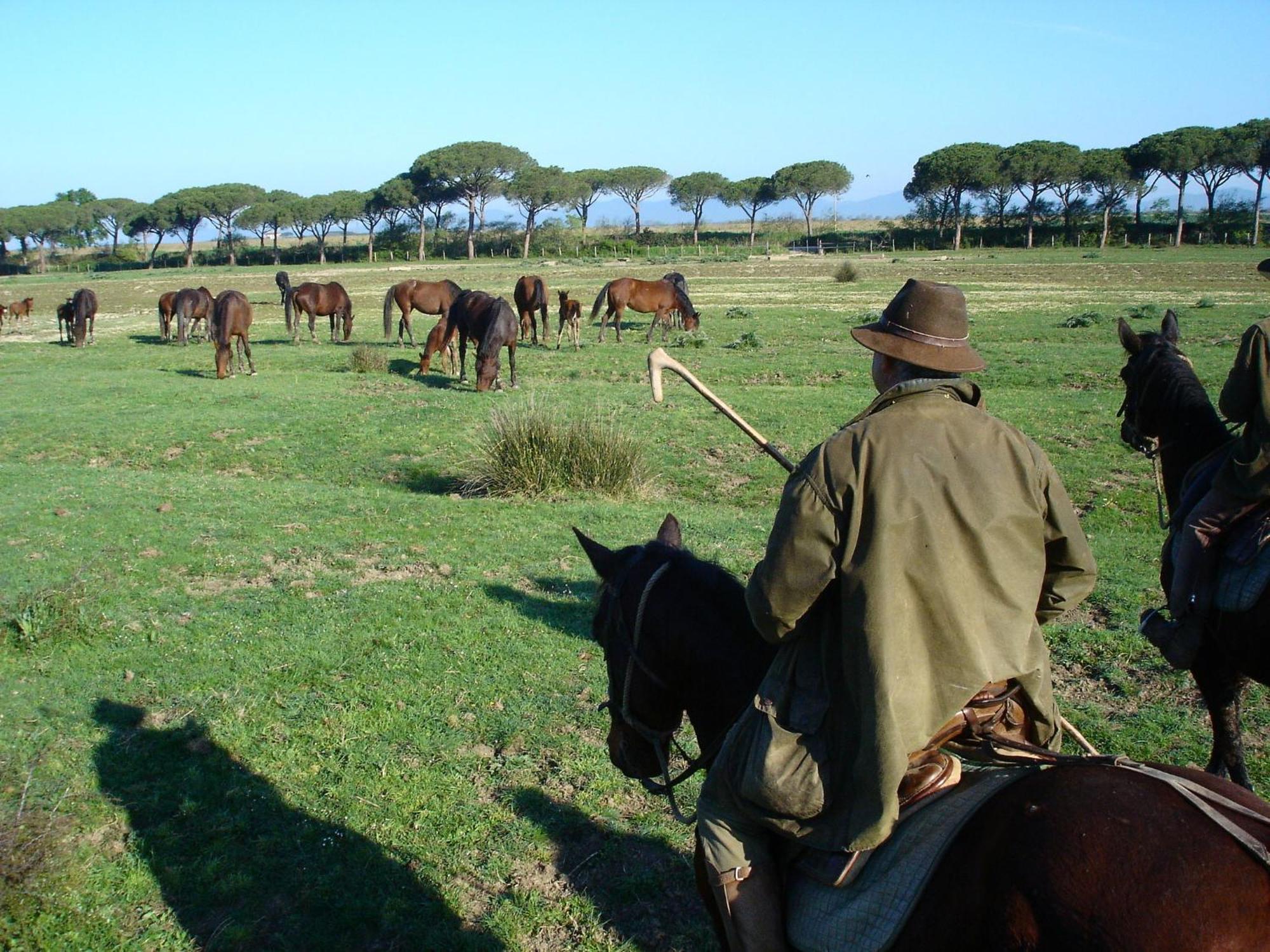 Agriturismo Biologico Sant'Egle San Quirico  Exterior foto